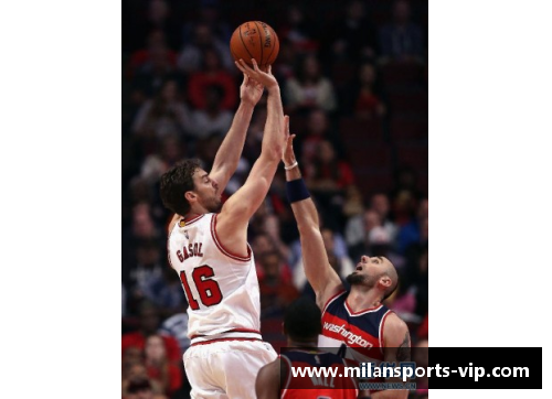 公牛队10号球员是谁？